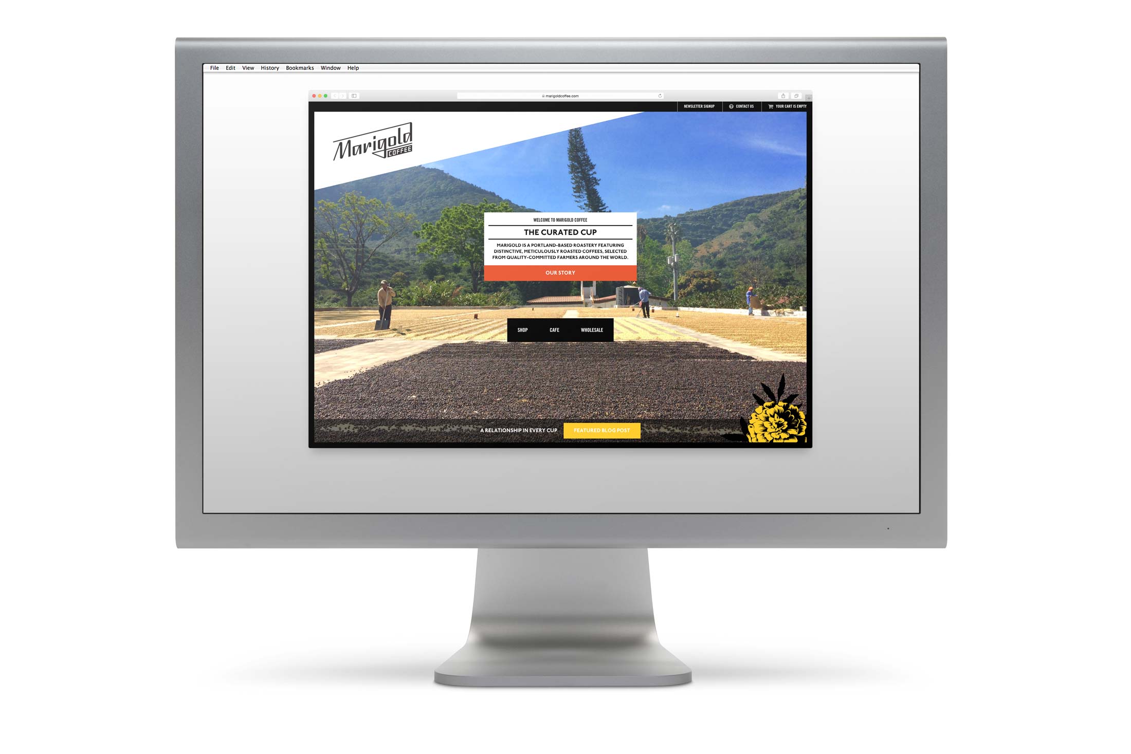 marigold-coffee-web-identity-01