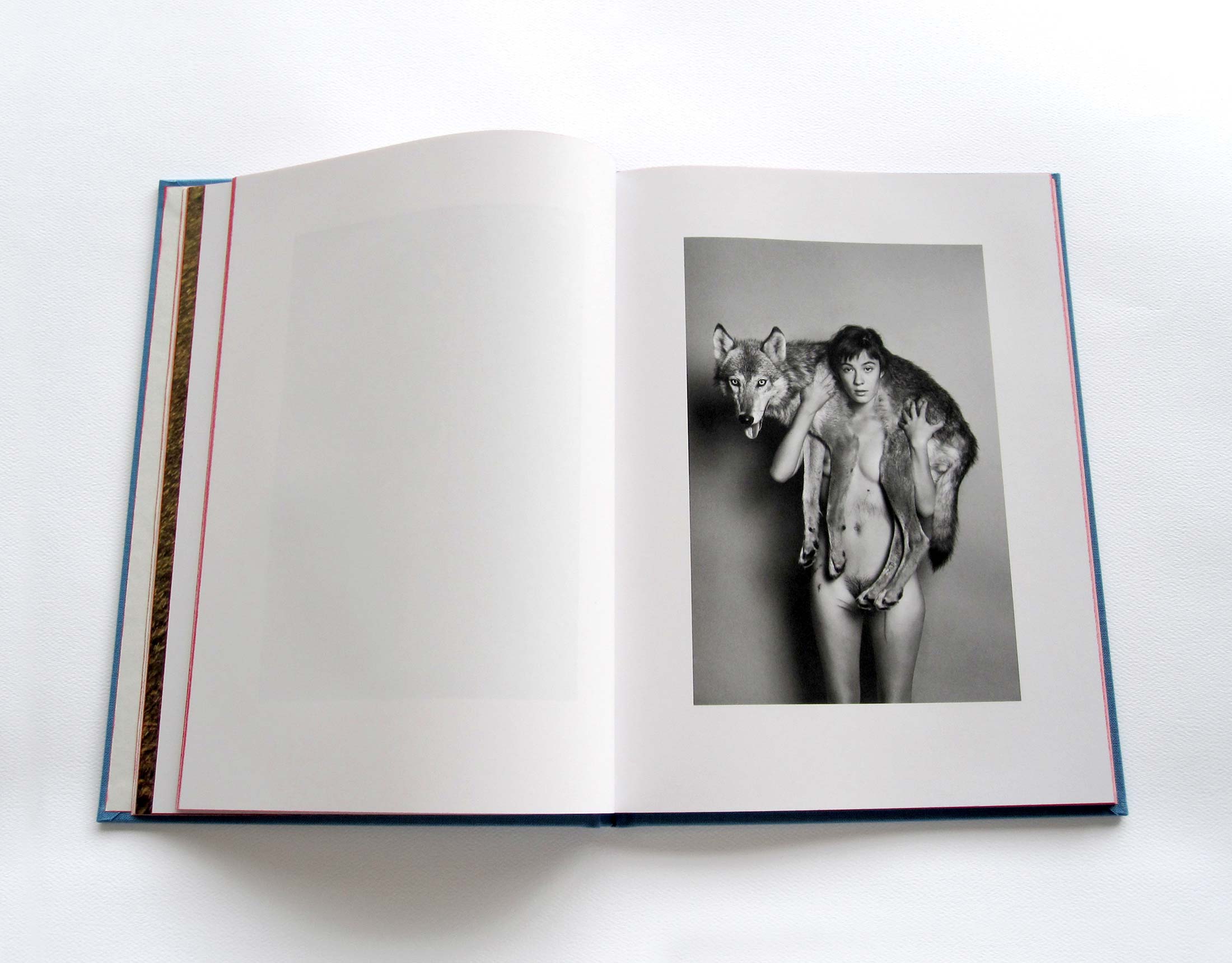 ryan-mcginley-life-adjustment-center-design-book-02