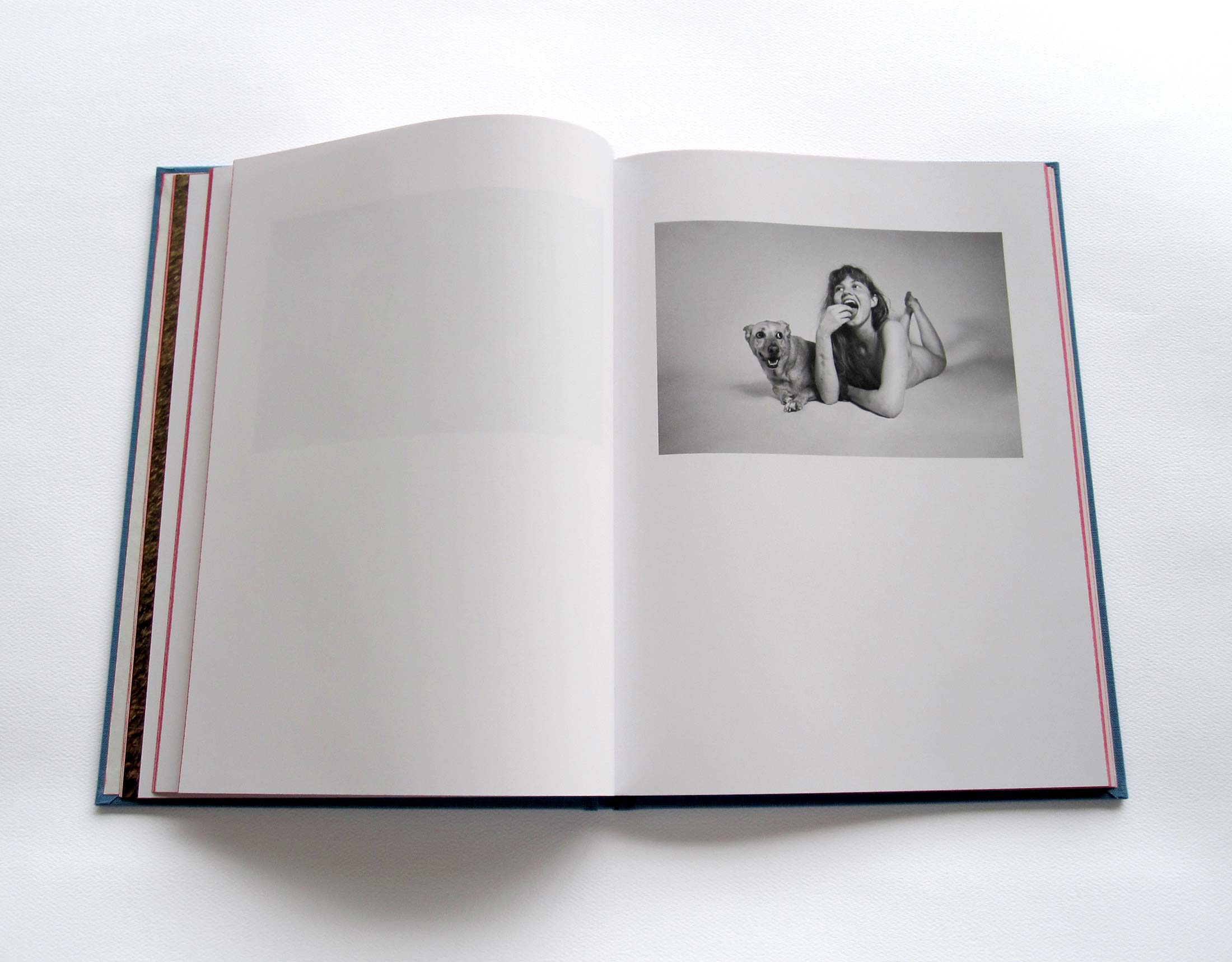 ryan-mcginley-life-adjustment-center-design-book-03