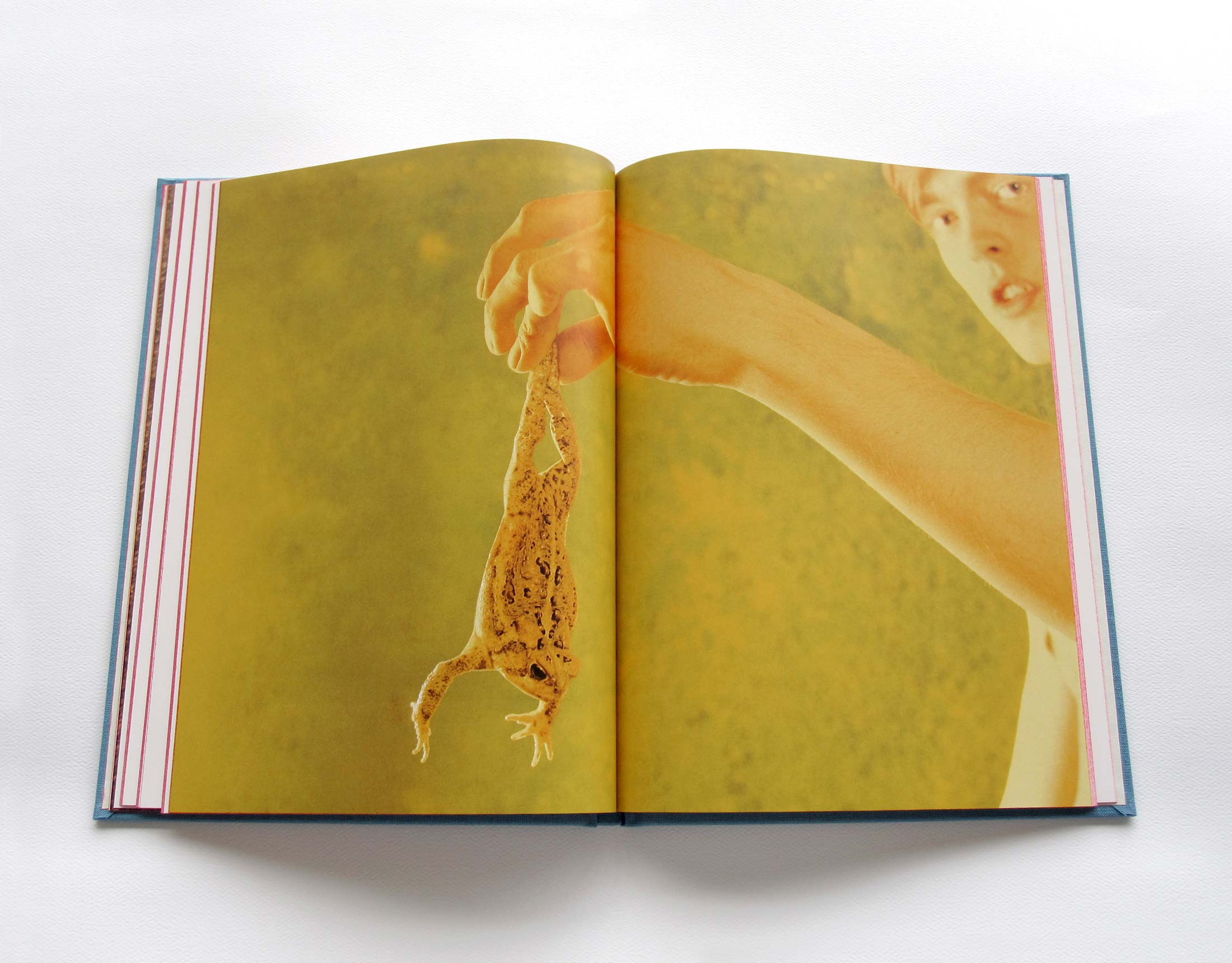 ryan-mcginley-life-adjustment-center-design-book-07